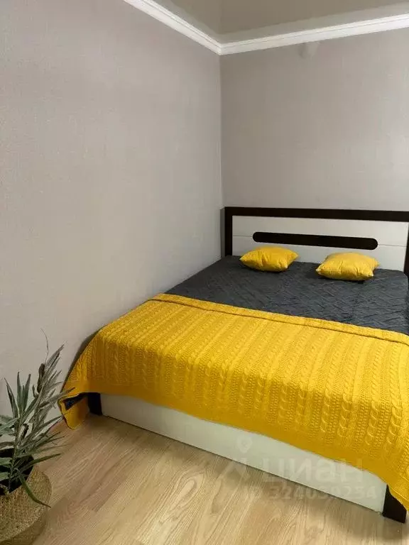 1-к кв. Татарстан, Елабуга 4/5 мкр, ул. Хирурга Нечаева, 16 (39.0 м) - Фото 2