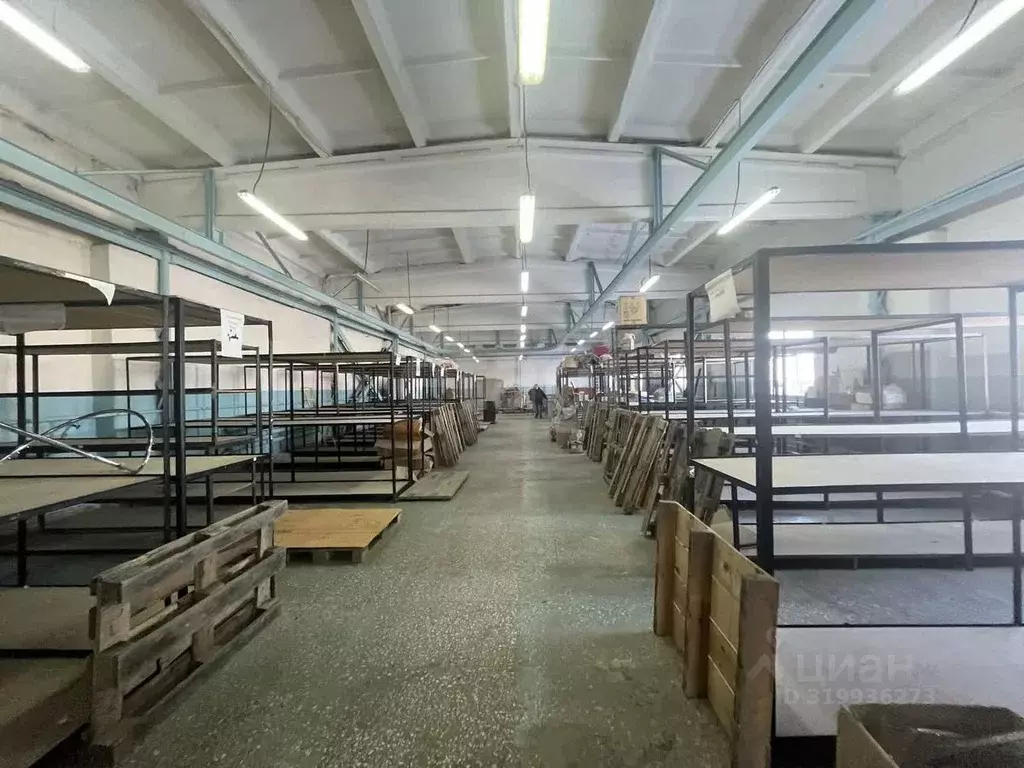 Склад в Тюменская область, Тюмень ул. Бабарынка, 1/10 (484 м) - Фото 1