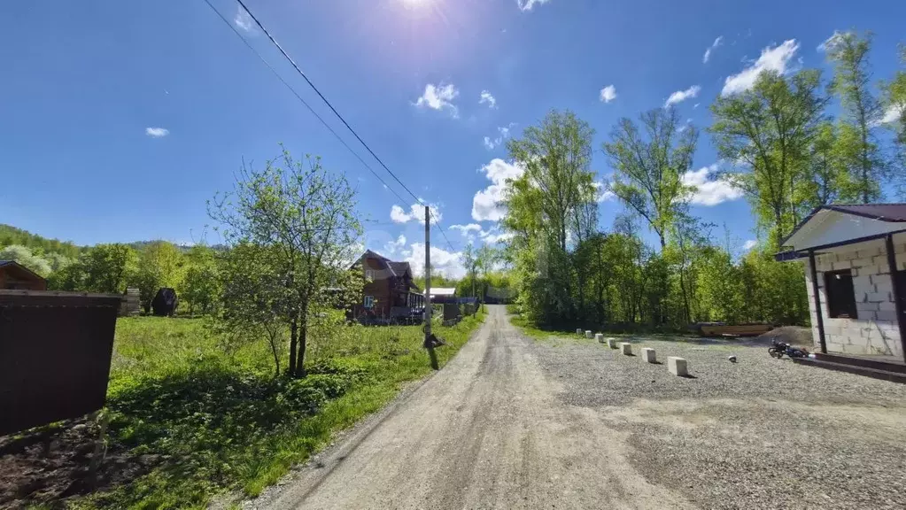 Участок в Алтай, Майминский район, Соузгинское с/пос, пос. Черемшанка ... - Фото 2
