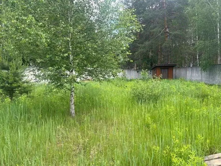 Участок в Рязанская область, Рязанский район, Заборьевское с/пос, д. ... - Фото 1