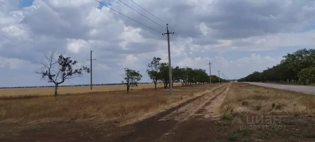 Участок в Крым, Сакский район, с. Молочное ул. Пионерская (6.0 сот.) - Фото 0