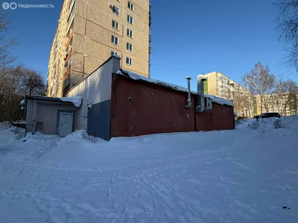 Помещение свободного назначения (219 м) - Фото 2