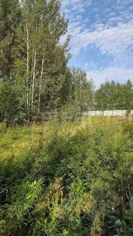 Участок в Московская область, Чехов муниципальный округ, д. Оксино  ... - Фото 1