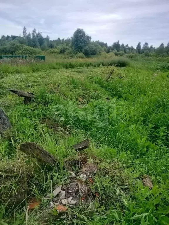 Участок в Тюменская область, с. Нижняя Тавда ул. Островского (4.39 ... - Фото 1