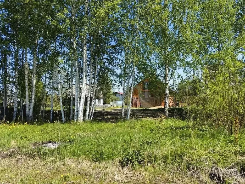 Участок в Вологодская область, Вологда Граничная ул., 37В (15.0 сот.) - Фото 1