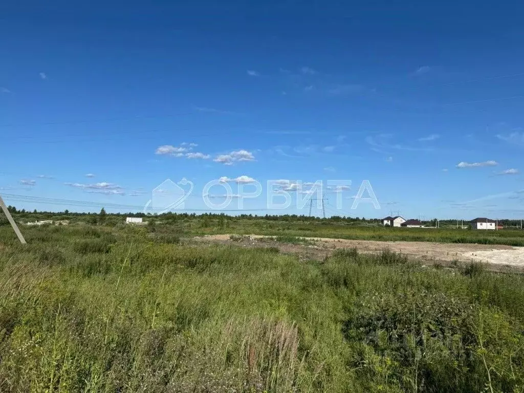 Участок в Тюменская область, Тюмень Березняки СНТ,  (6.0 сот.) - Фото 1