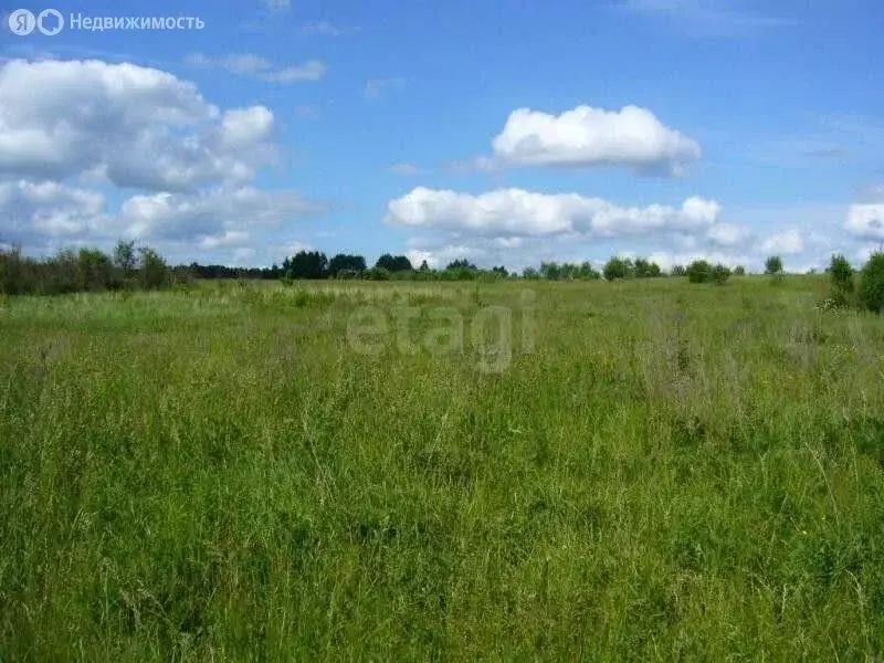 Участок в Уфимский район, Зубовский сельсовет, село Нижегородка (8 м) - Фото 1