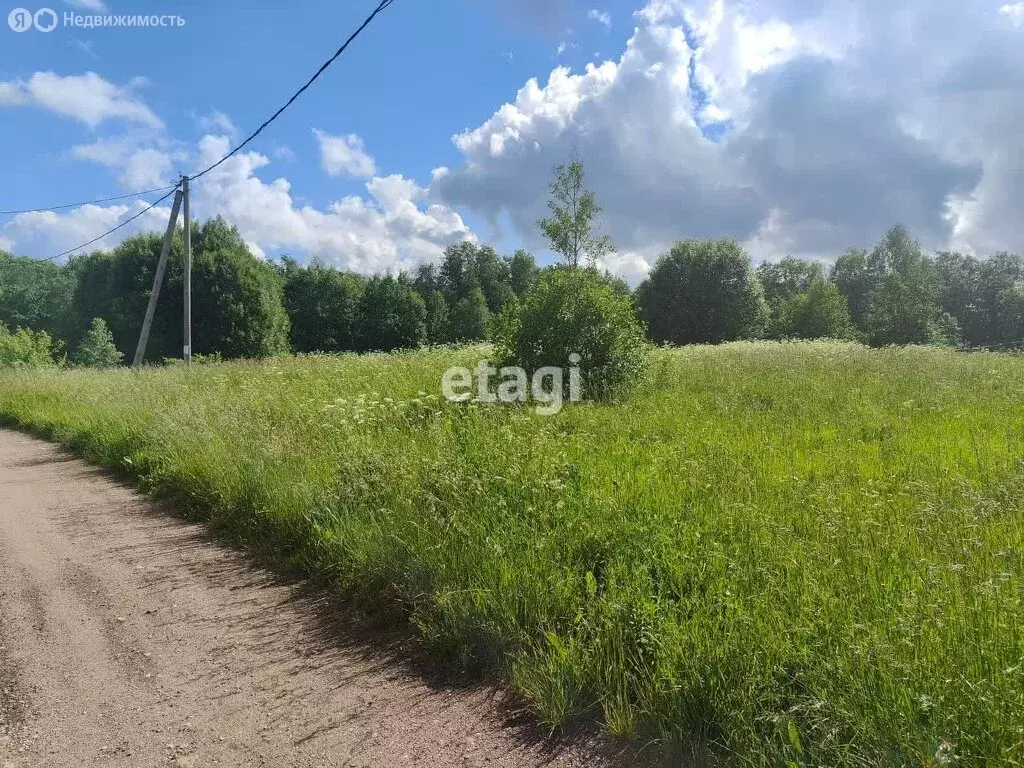 Участок в Володарское сельское поселение, садоводческое некоммерческое ... - Фото 1