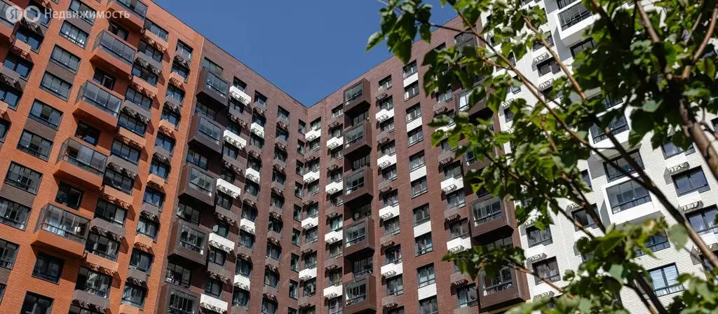 2-комнатная квартира: Екатеринбург, проспект Космонавтов, 11А (55.9 м) - Фото 2