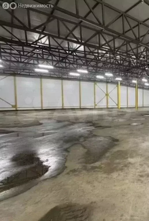 Склад (1000 м) - Фото 2