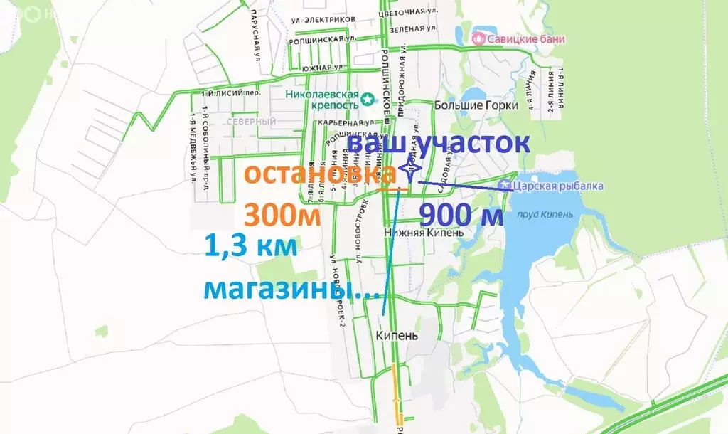 Участок в деревня Кипень, Ягодная улица, 22 (25 м) - Фото 2