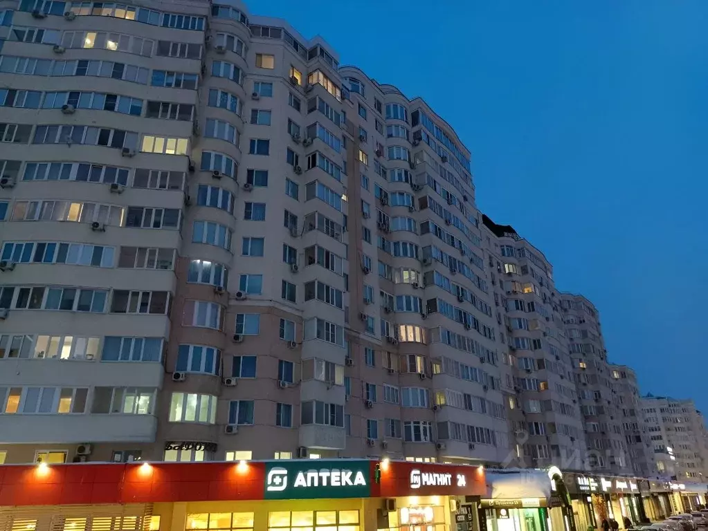 1-к кв. Пензенская область, Пенза ул. Пушкина, 15 (45.0 м) - Фото 1