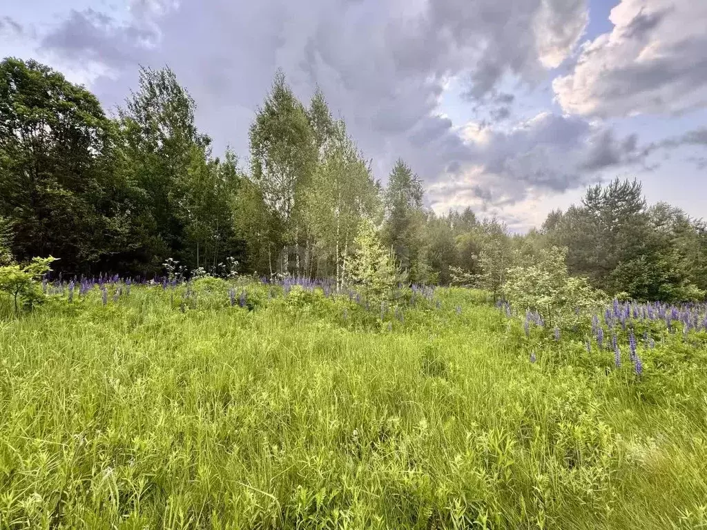 Участок в Смоленская область, Ярцево ул. Рябиновая, 12 (12.0 сот.) - Фото 1