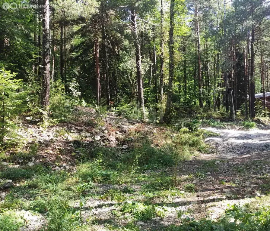 Участок в Зеленчукский район, село Архыз (6 м) - Фото 1