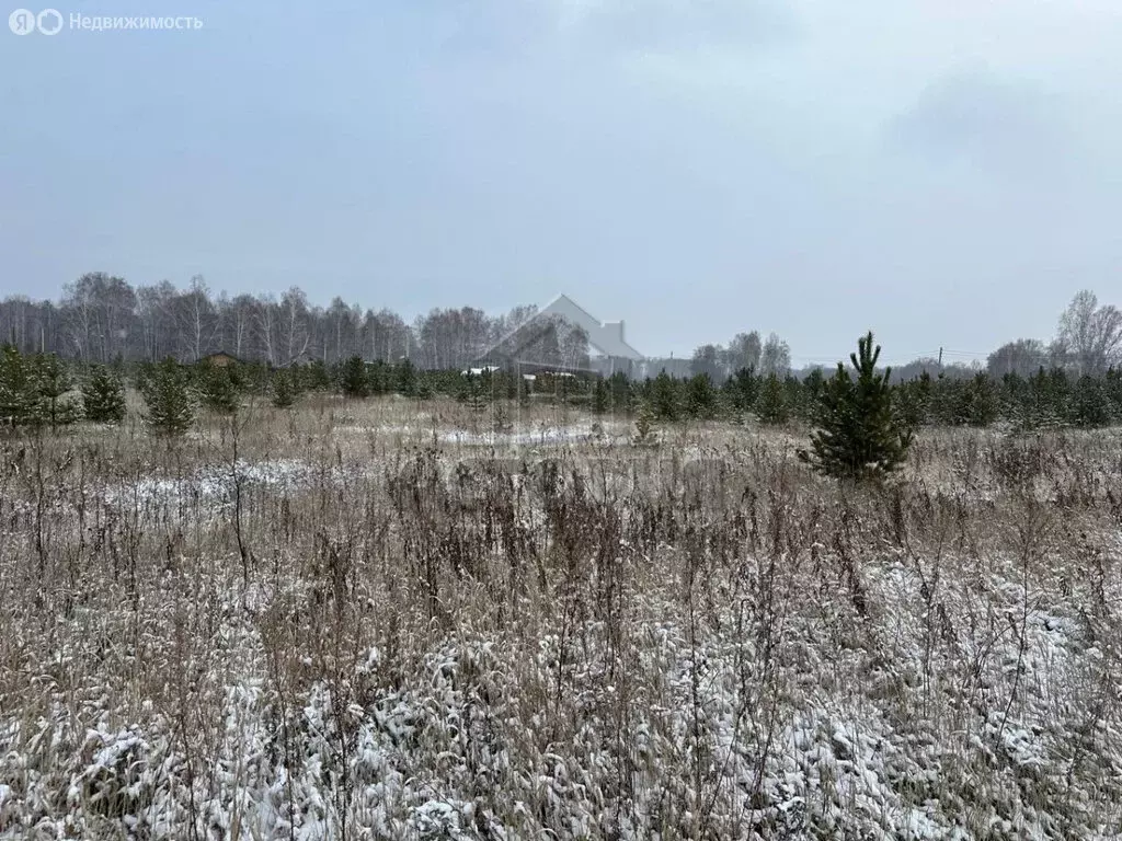 Участок в Красноярский край, Емельяновский муниципальный округ, СТ ... - Фото 2