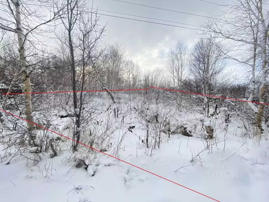 Участок в Камчатский край, Елизовский муниципальный округ, Солодок СНТ ... - Фото 2