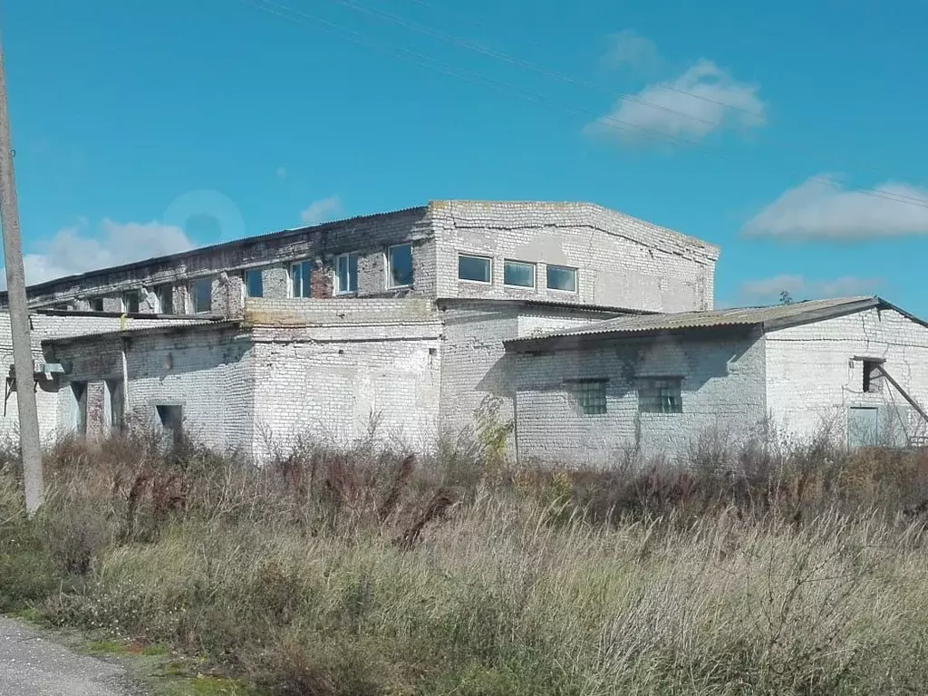 Опытное область. Село Городище Брянская область. Деревня Газуки. Брянская обл Погарский р-н с Городище. Брянская область с.Газуки.