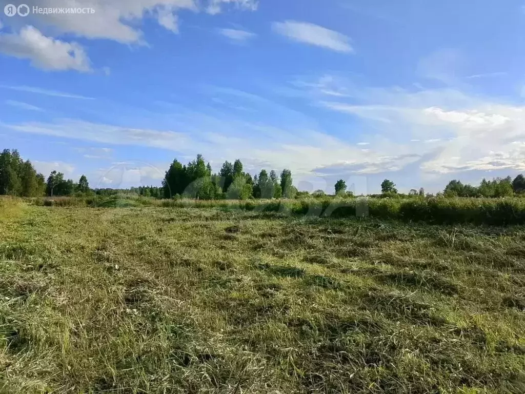 Участок в Тюменская область, Нижнетавдинский муниципальный округ, ... - Фото 0