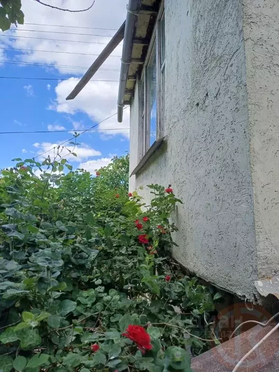 Участок в Крым, Симферопольский район, Мирновское с/пос, Домостроитель ... - Фото 2