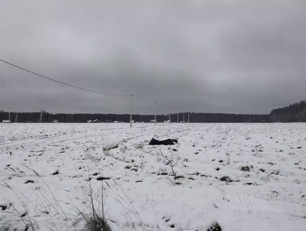 Участок в Московская область, Дмитровский городской округ, Раменье дп  ... - Фото 1