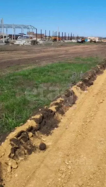 Участок в Ростовская область, Мясниковский район, Краснокрымское ... - Фото 2