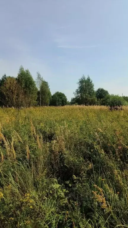 Участок в Калужская область, Малоярославецкий муниципальный округ, д. ... - Фото 1