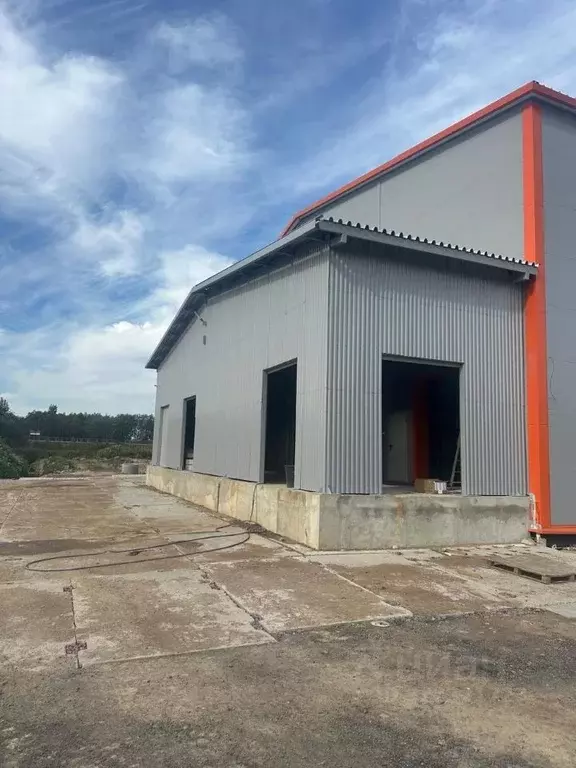 Склад в Ленинградская область, Гатчинский муниципальный округ, д. ... - Фото 1