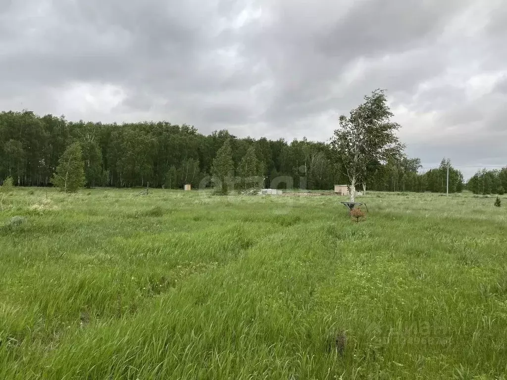 Участок в Курганская область, Кетовский муниципальный округ, ... - Фото 1