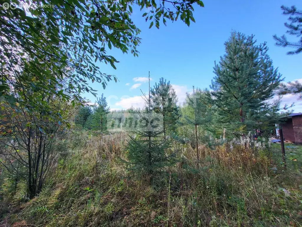 Участок в Пасеговское сельское поселение, деревня Головизнинцы (12.3 ... - Фото 2