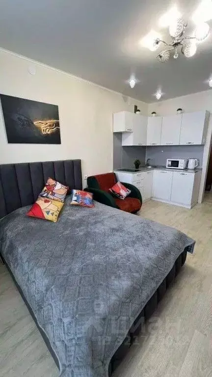 1-к кв. Забайкальский край, Чита ул. Богомягкова, 2к3 (28.0 м) - Фото 1