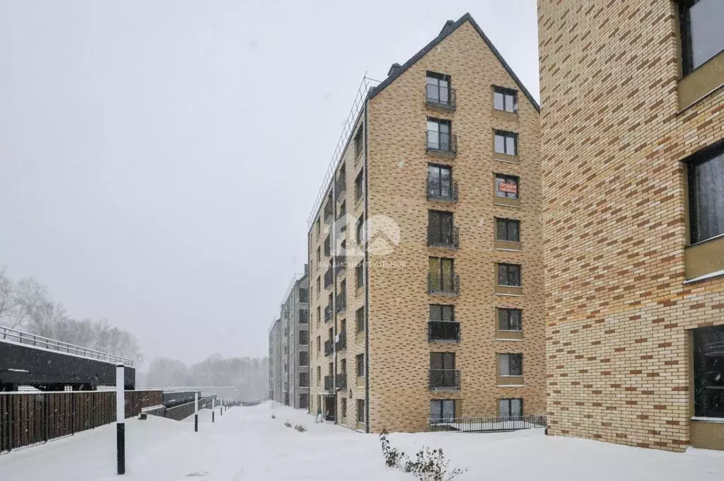 Студия Новосибирская область, Новосибирский район, Барышевский ... - Фото 1