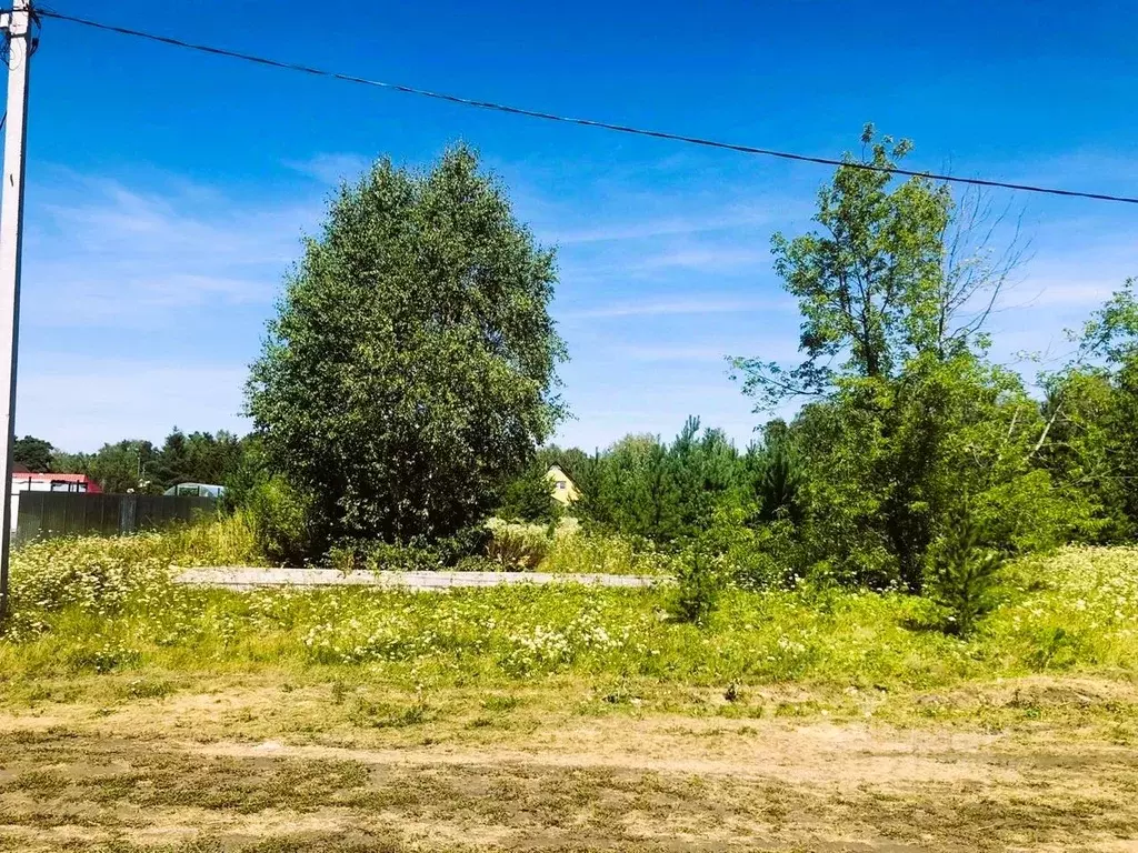 Участок в Московская область, Домодедово городской округ, с. Никитское ... - Фото 0