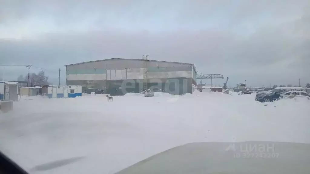 Склад в Ямало-Ненецкий АО, Ноябрьск Промузел Пелей кв-л, 11-я панель, ... - Фото 2