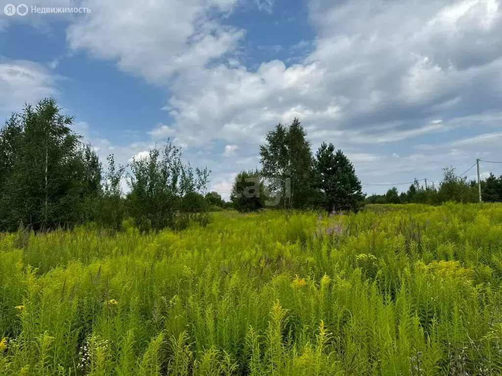 Участок в Нижегородская область, Городецкий муниципальный округ, ... - Фото 1