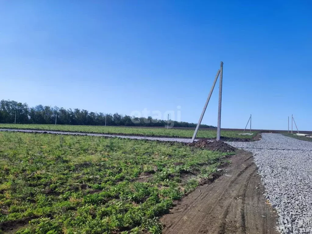 Участок в Ростовская область, Азовский район, Новоалександровское ... - Фото 0