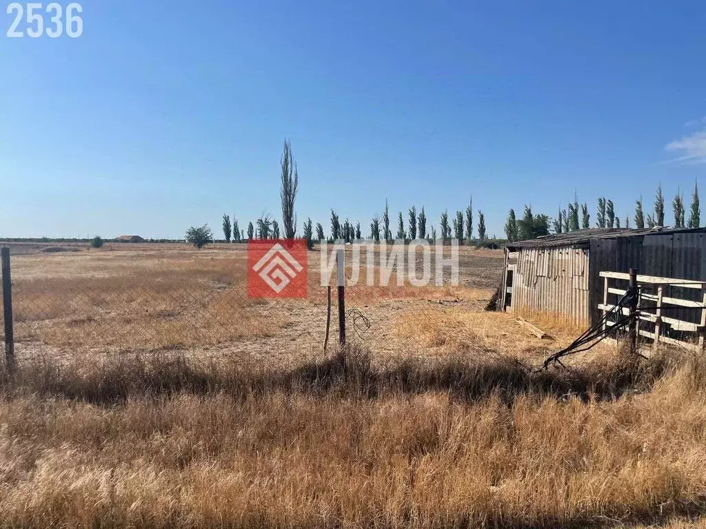 Участок в Крым, Кировский район, Журавское с/пос, с. Новопокровка  ... - Фото 2