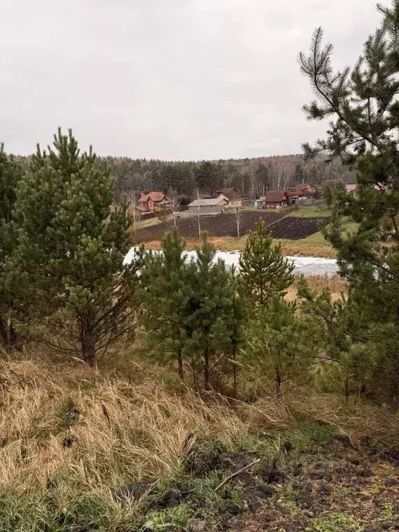 Участок в Красноярский край, Емельяновский район, Никольский ... - Фото 1