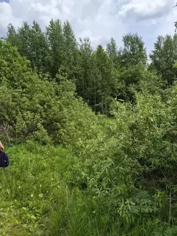 Участок в Свердловская область, Екатеринбург Родники СНТ, ул. ... - Фото 2