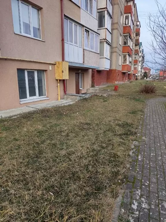 Помещение свободного назначения в Калининградская область, Светлый ... - Фото 1