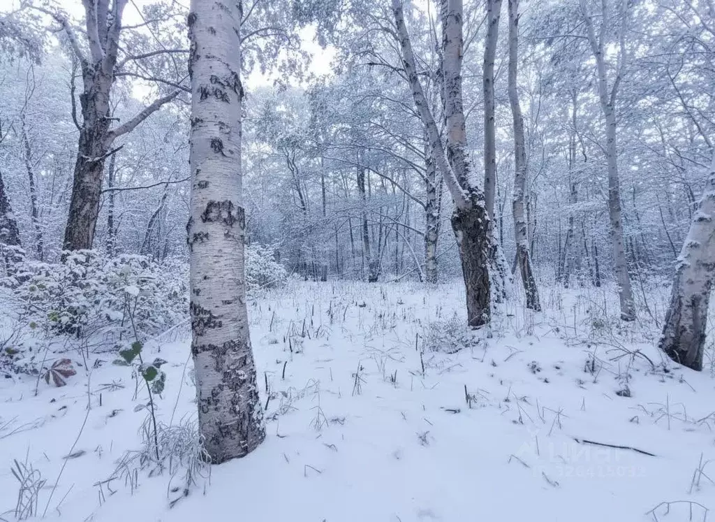 Участок в Камчатский край, Елизовский муниципальный округ, пос. ... - Фото 1