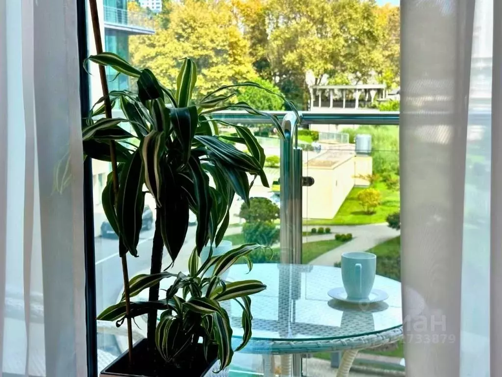 2-к кв. Краснодарский край, Сочи Центральный мкр, ул. Орджоникидзе, ... - Фото 2