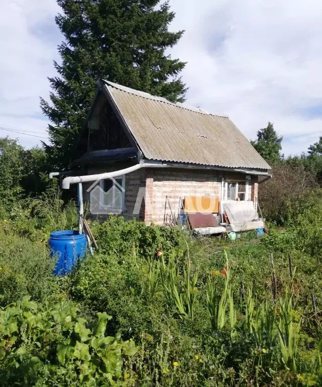 Дом в Омская область, Омск Крона СНТ, 512 (24 м) - Фото 1