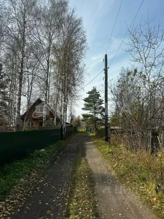 Участок в Тюменская область, Тюменский район, Нива СНТ ул. Яблоневая ... - Фото 0