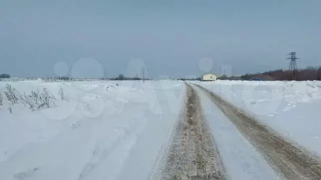Участок 5 сот. (личное подсобное хозяйство (лпх)) - Фото 1