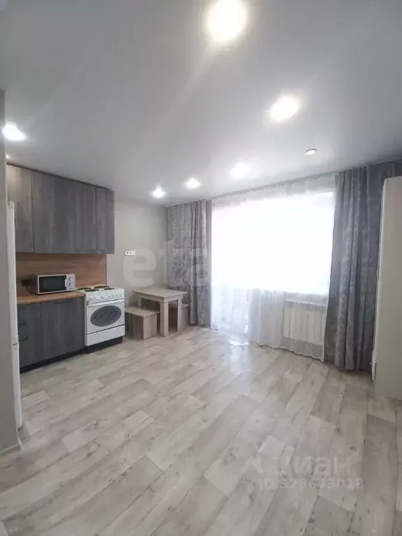 Студия Амурская область, Благовещенский район, с. Чигири ул. ... - Фото 1