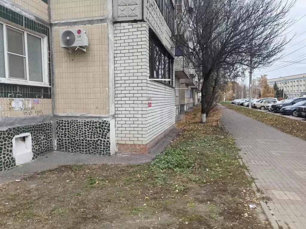 3-к кв. Белгородская область, Алексеевка ул. Степана Разина, 52 (59.1 ... - Фото 1