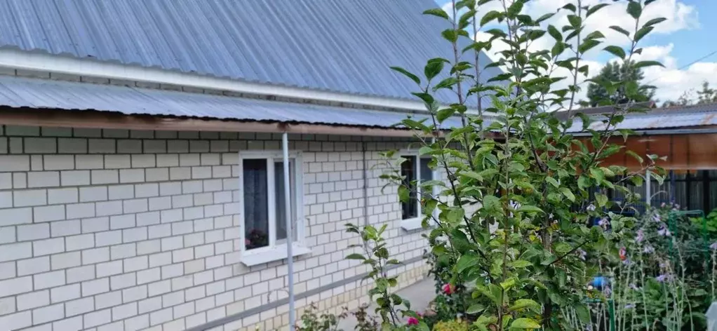 Дом в Брянская область, Выгоничи рп ул. Почепская (47 м) - Фото 1