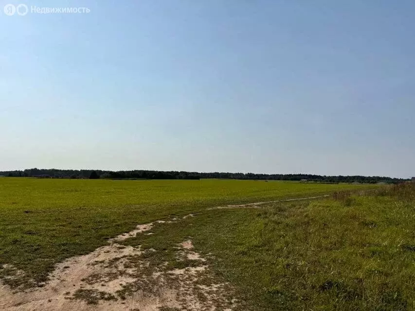 Участок в Гостилицкое сельское поселение, садовое товарищество Берёзка ... - Фото 0