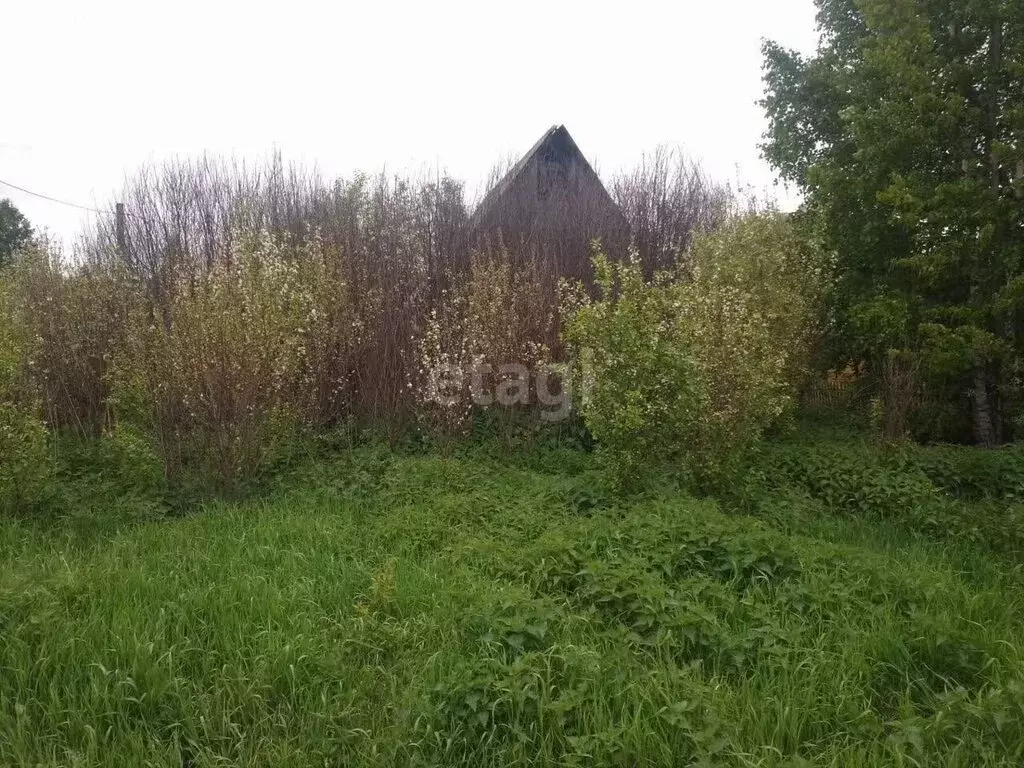 Участок в Первомайский район, посёлок Заречный (10 м) - Фото 0