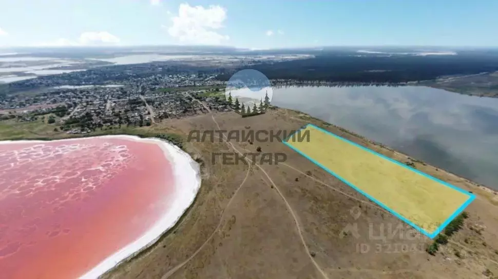 Участок в Алтайский край, Михайловский район, Малиновое Озеро рп  ... - Фото 1